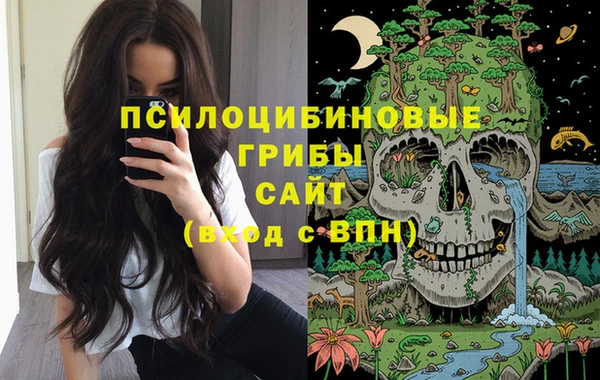 прущие крисы Каменногорск